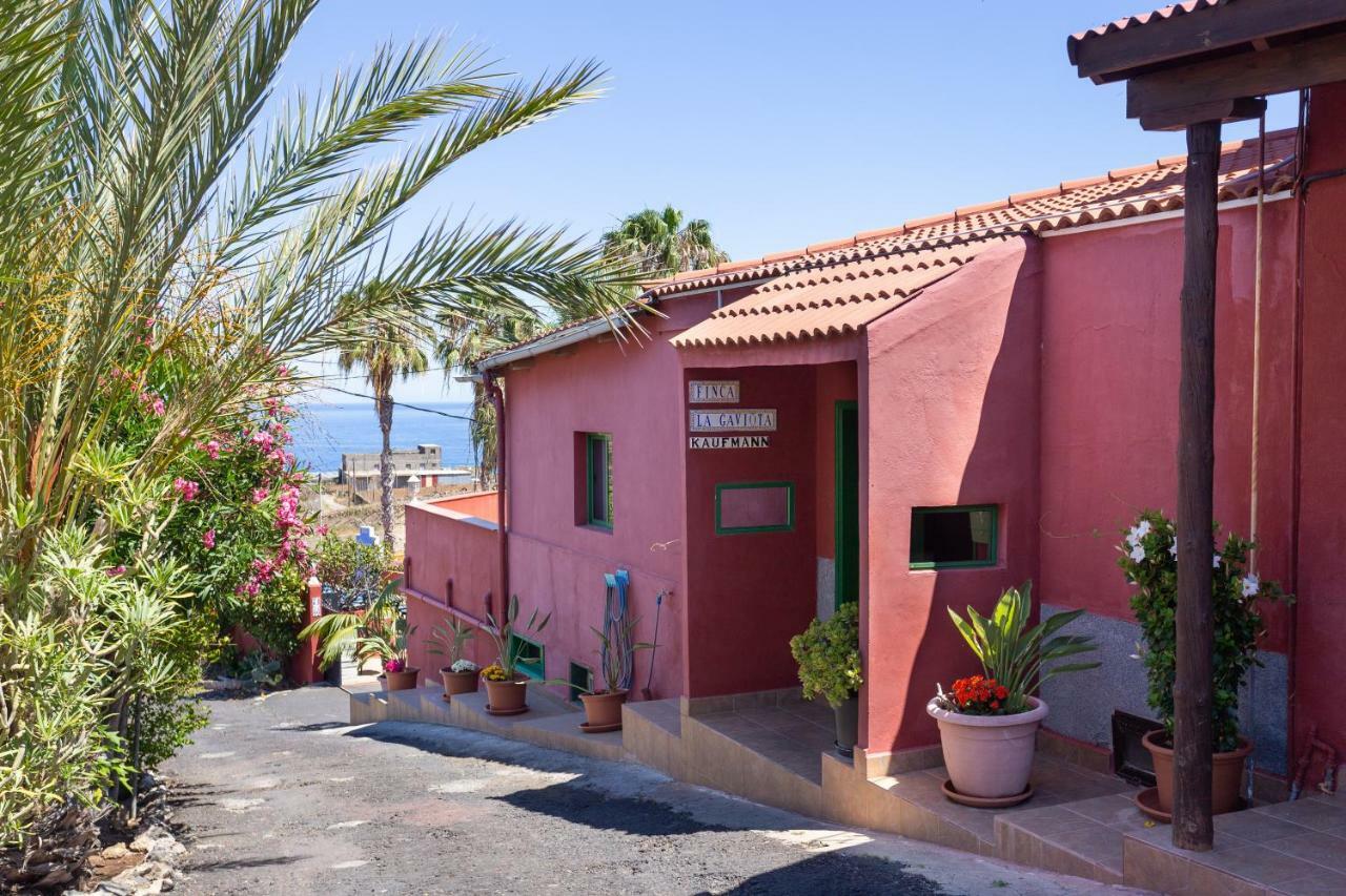 Finca La Gaviota - Maxi Икод де лос Винос Екстериор снимка